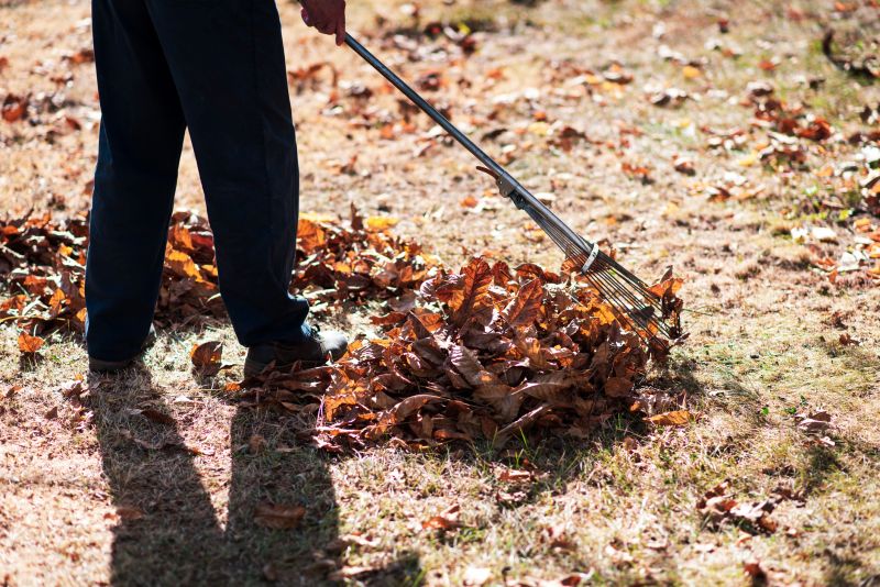Layered Leaf Management