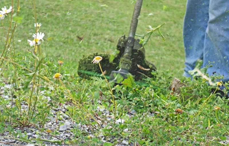 Weed Whacking detail