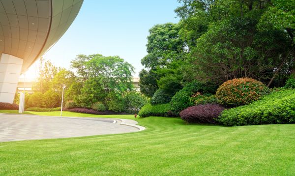 Cost of Commercial Lawn Mowing in Aiken