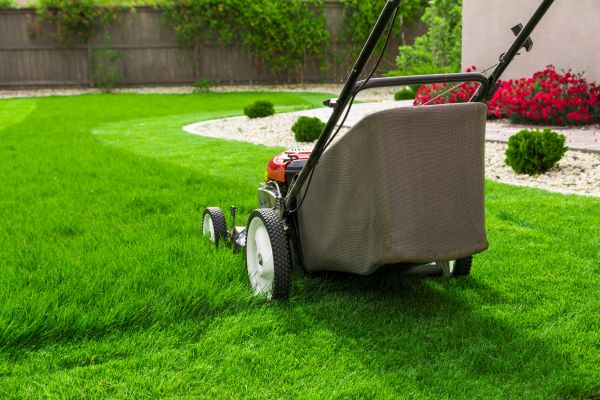 Home Yard Maintenance in Aiken