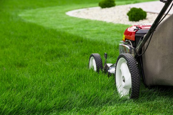 Mowing Service in Aiken