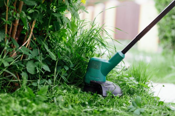 Weed Whacking in Aiken