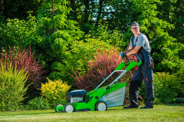 Cost of Yard Work Service in Aiken