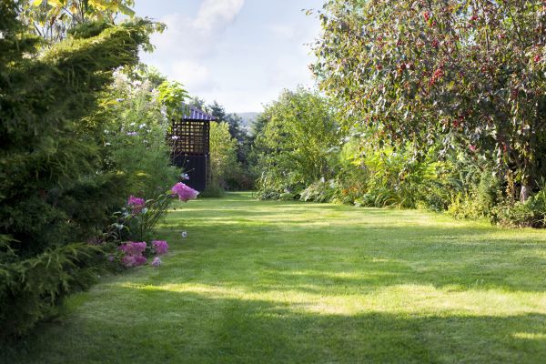 Cost of Yard Upkeep Service in Aiken