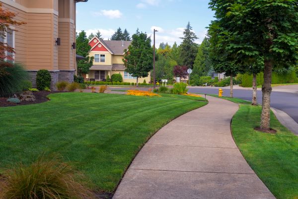 Cost of Home Lawn Maintenance in Aiken
