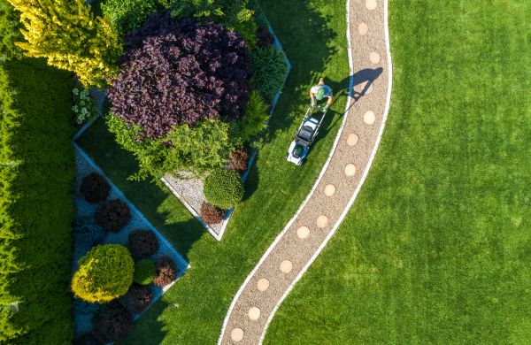 Cost of Mowing And Landscaping in Aiken