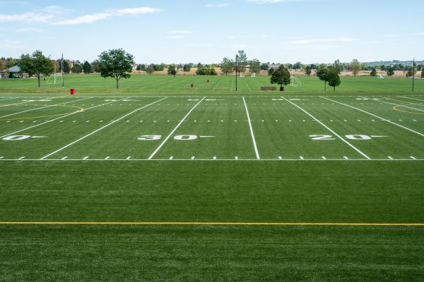 Cost of Groundskeeping Service in Aiken