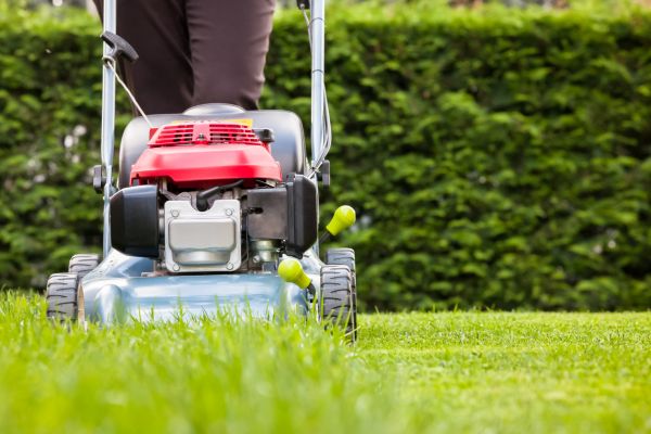 Grass Trimming Service in Aiken