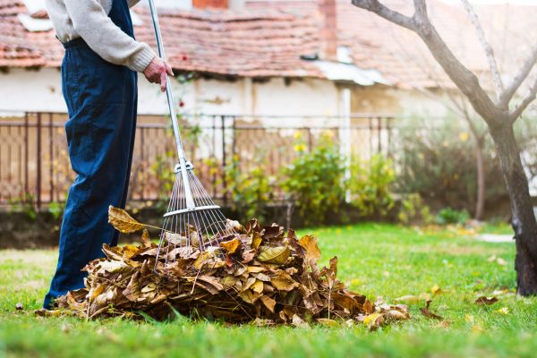 Routine Lawn Maintenance in Aiken