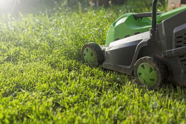 Cost of Lot Mowing in Aiken