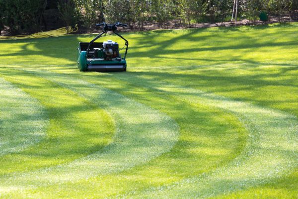 Cost of Business Lawn Mowing in Aiken