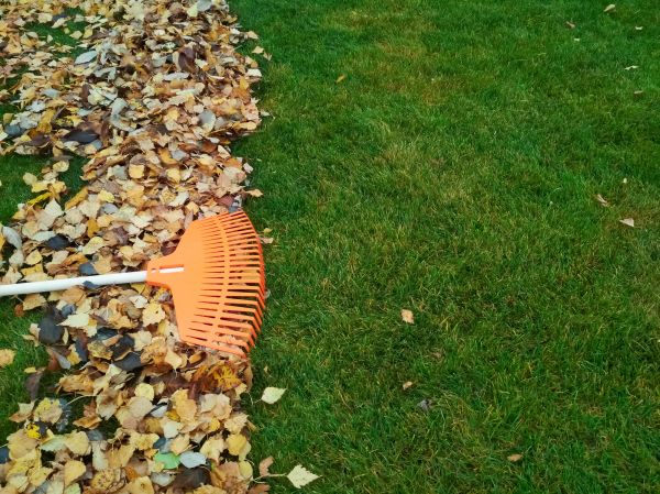Cost of Fall Lawn Care in Aiken