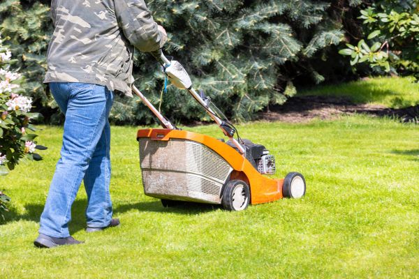 Springtime Lawn Care in Aiken