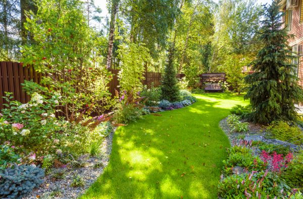 Spring Yard Maintenance in Aiken