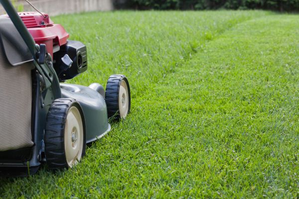 Spring Lawn Maintenance in Aiken