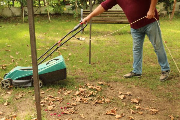 Cost of Leaves Mowing in Aiken