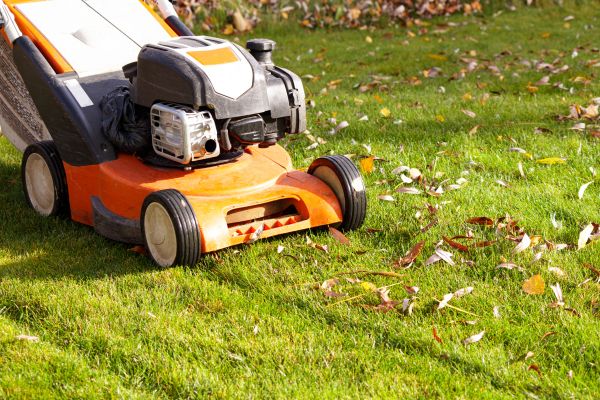 Cost of Fall Mowing in Aiken