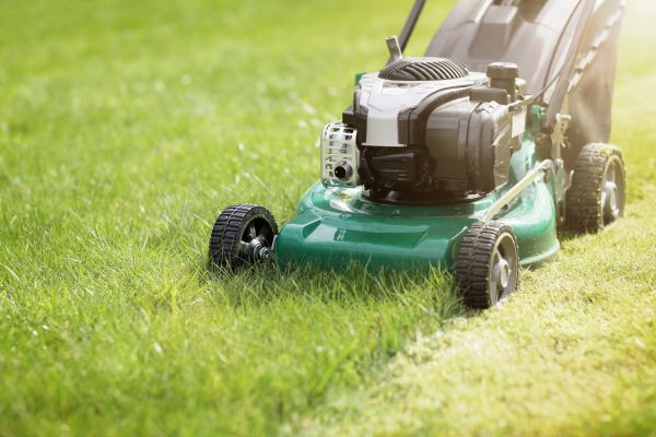 Spring Grass Trimming in Aiken