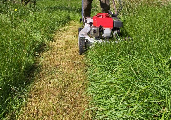Cost of Leaf Mowing in Aiken
