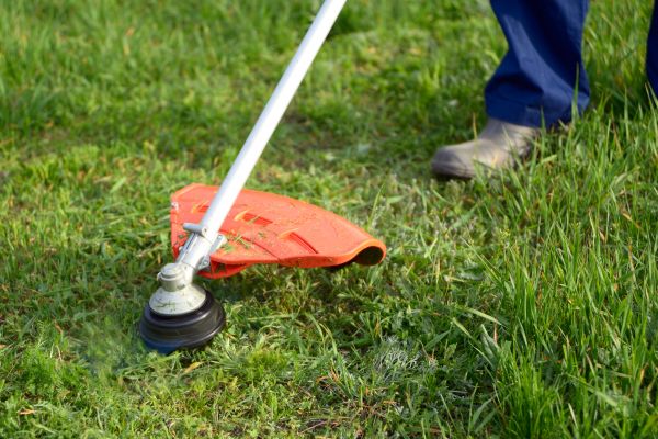 Lawn Weed Whacking in Aiken